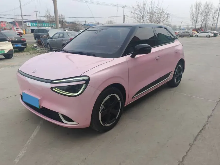 2024 DongFeng Nammi 01 BEV 42.3KWH,autocango,china used car exporter,china ev exporter,chinese used car exporter,chinese used ev exporter