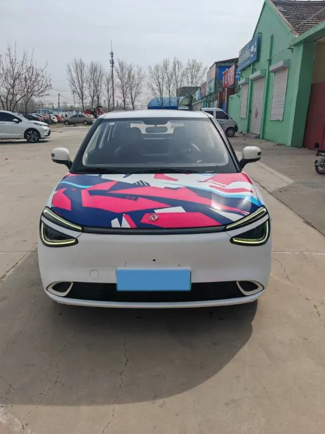 2024 DongFeng Nammi 01 BEV 42.3KWH,autocango,china used car exporter,china ev exporter,chinese used car exporter,chinese used ev exporter