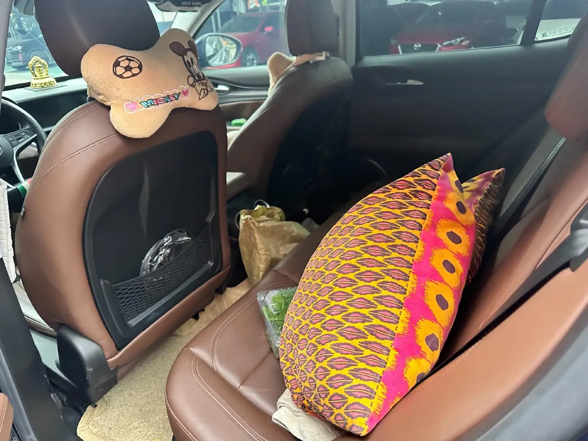 2017 Lexus NX 2.0T 238HP L4 6AT,autocango,china used car exporter,china ev exporter,chinese used car exporter,chinese used ev exporter