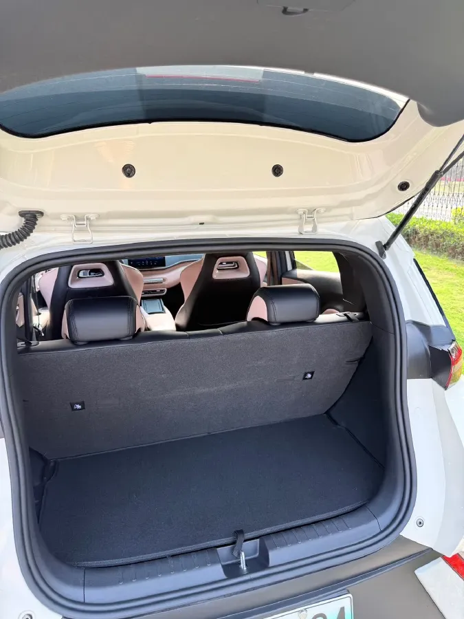 2023 BYD Seagull BEV 30.08KWH,autocango,china used car exporter,china ev exporter,chinese used car exporter,chinese used ev exporter