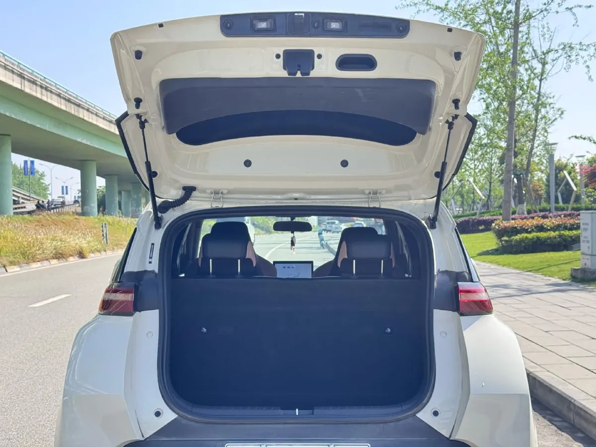 2025 BYD Seagull BEV 30.08KWH,autocango,china used car exporter,china ev exporter,chinese used car exporter,chinese used ev exporter