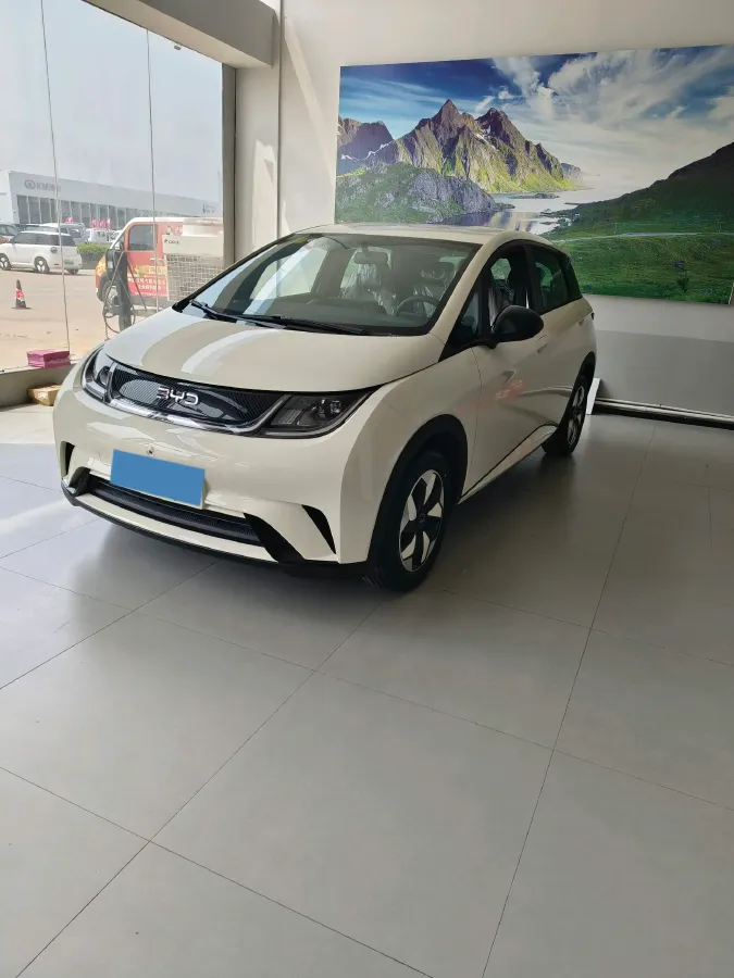 2025 BYD Dolphin BEV 44.928KWH,autocango,china used car exporter,china ev exporter,chinese used car exporter,chinese used ev exporter