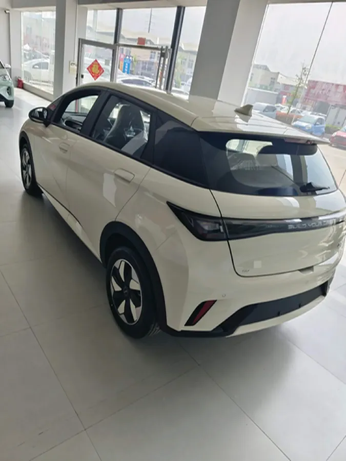 2025 BYD Dolphin BEV 44.928KWH,autocango,china used car exporter,china ev exporter,chinese used car exporter,chinese used ev exporter