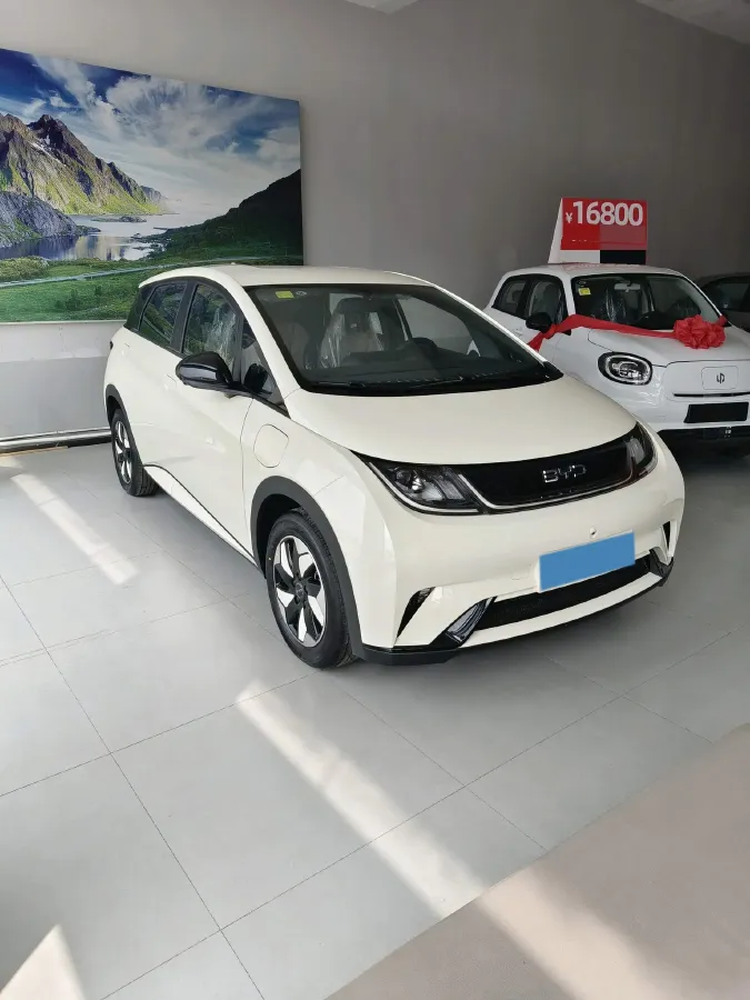 2025 BYD Dolphin BEV 44.928KWH,autocango,china used car exporter,china ev exporter,chinese used car exporter,chinese used ev exporter