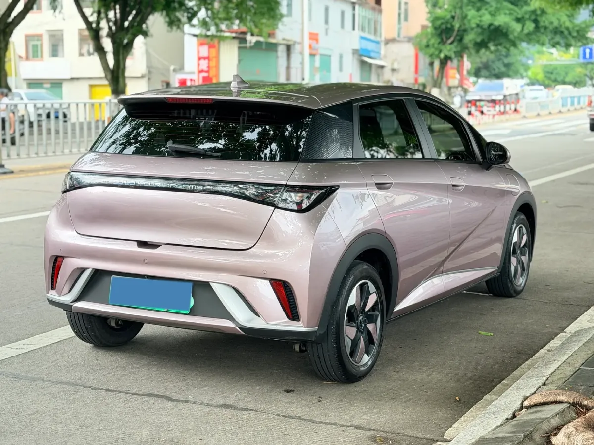 2024 BYD Dolphin BEV 44.928KWH,autocango,china used car exporter,china ev exporter,chinese used car exporter,chinese used ev exporter