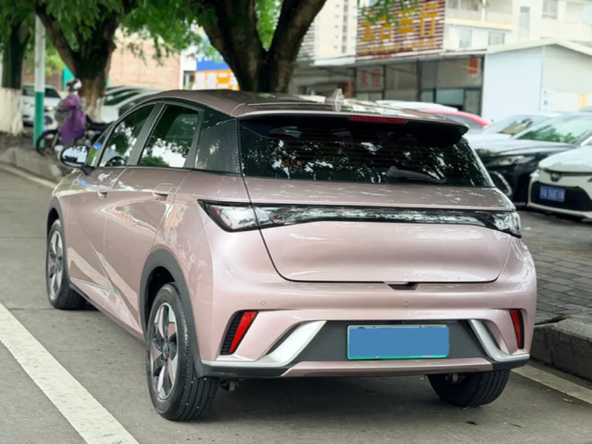 2024 BYD Dolphin BEV 44.928KWH,autocango,china used car exporter,china ev exporter,chinese used car exporter,chinese used ev exporter