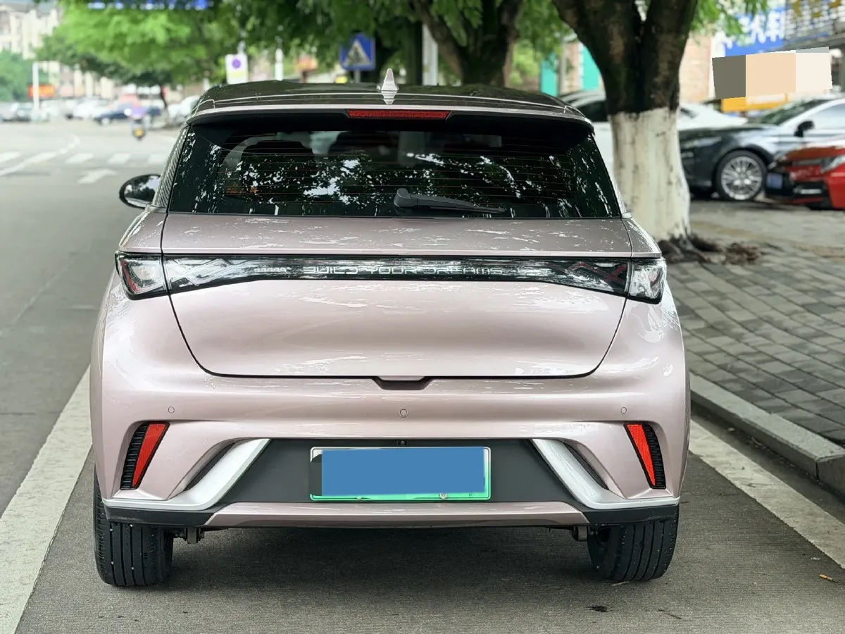 2024 BYD Dolphin BEV 44.928KWH,autocango,china used car exporter,china ev exporter,chinese used car exporter,chinese used ev exporter