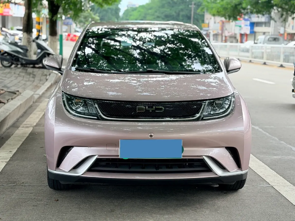2024 BYD Dolphin BEV 44.928KWH,autocango,china used car exporter,china ev exporter,chinese used car exporter,chinese used ev exporter