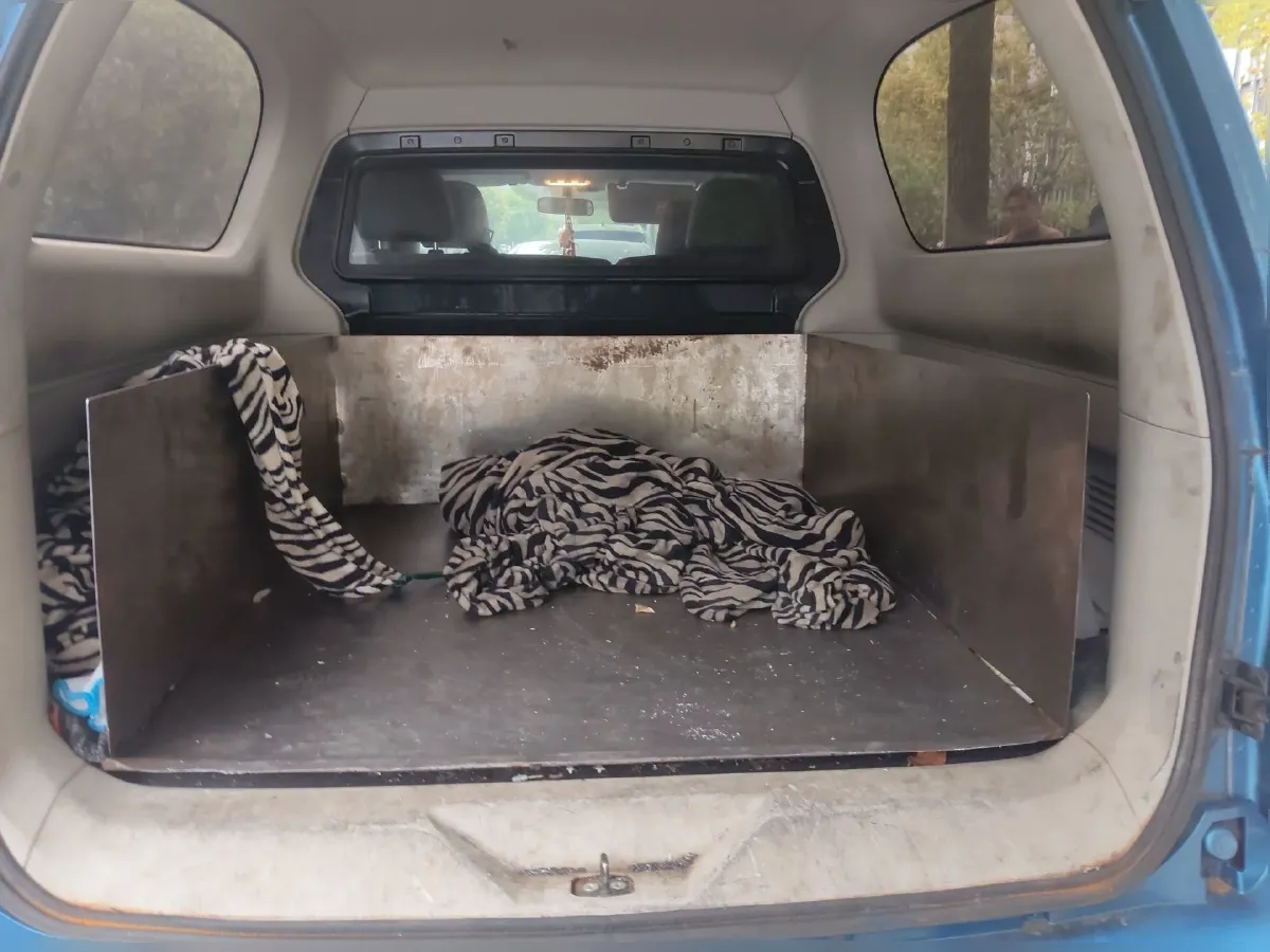 2021 Dongfeng PaLaSuo 1.8T 231HP L4 6MT,autocango,china used car exporter,china ev exporter,chinese used car exporter,chinese used ev exporter