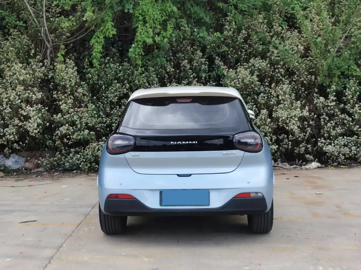 2024 DongFeng Nammi 01 BEV 42.3KWH,autocango,china used car exporter,china ev exporter,chinese used car exporter,chinese used ev exporter