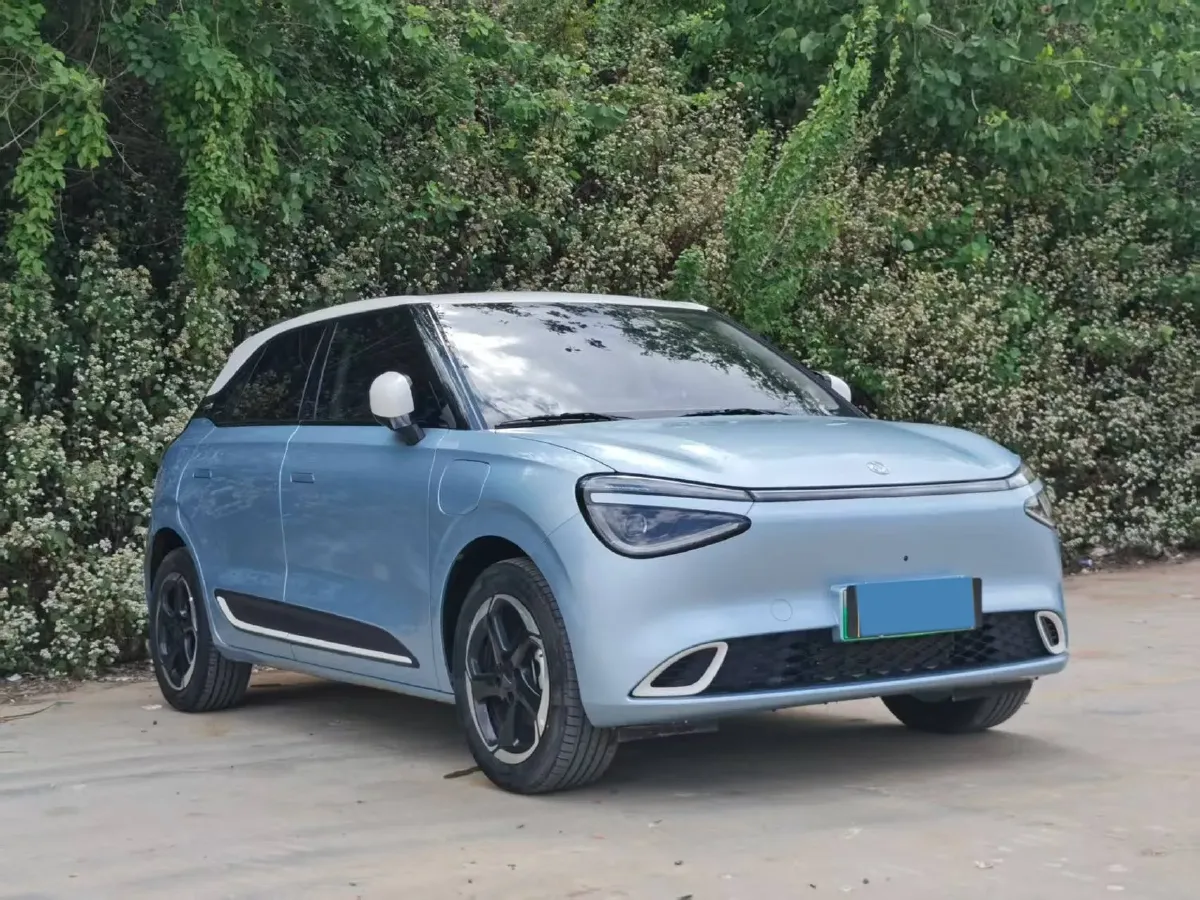 2024 DongFeng Nammi 01 BEV 42.3KWH,autocango,china used car exporter,china ev exporter,chinese used car exporter,chinese used ev exporter