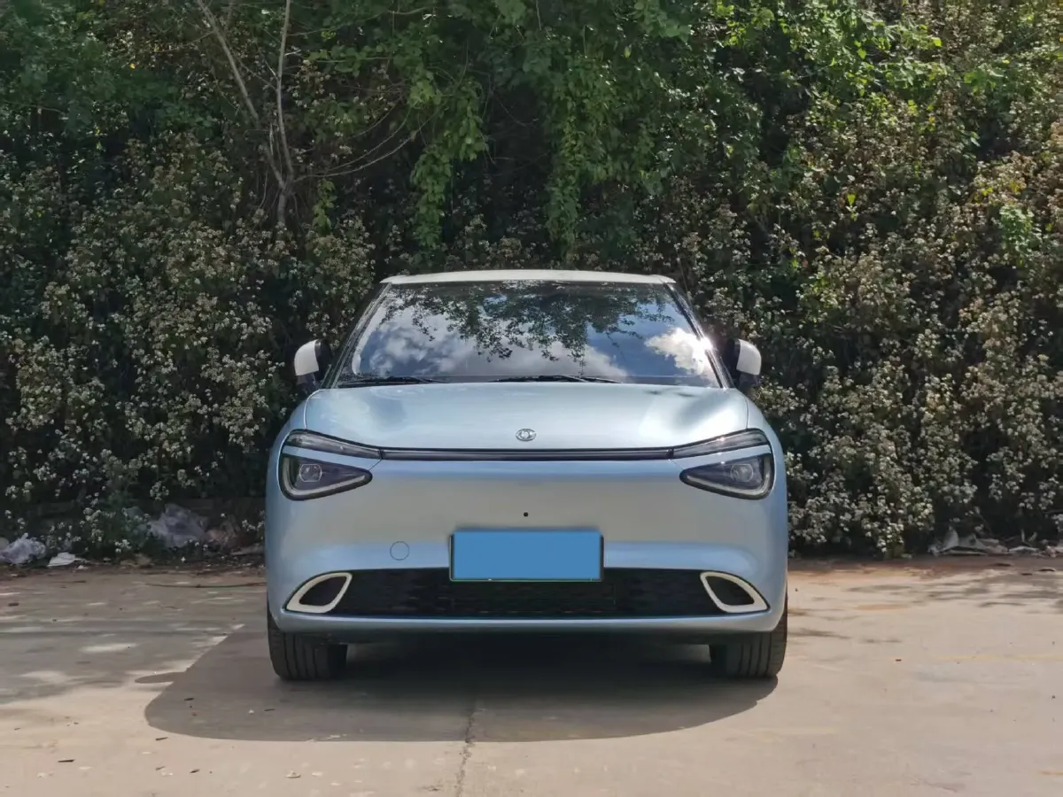 2024 DongFeng Nammi 01 BEV 42.3KWH,autocango,china used car exporter,china ev exporter,chinese used car exporter,chinese used ev exporter