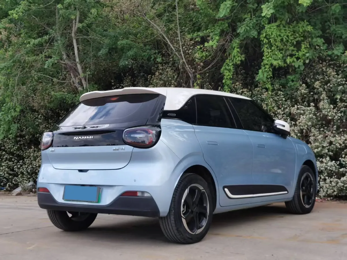 2024 DongFeng Nammi 01 BEV 42.3KWH,autocango,china used car exporter,china ev exporter,chinese used car exporter,chinese used ev exporter