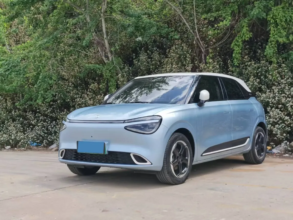 2024 DongFeng Nammi 01 BEV 42.3KWH,autocango,china used car exporter,china ev exporter,chinese used car exporter,chinese used ev exporter