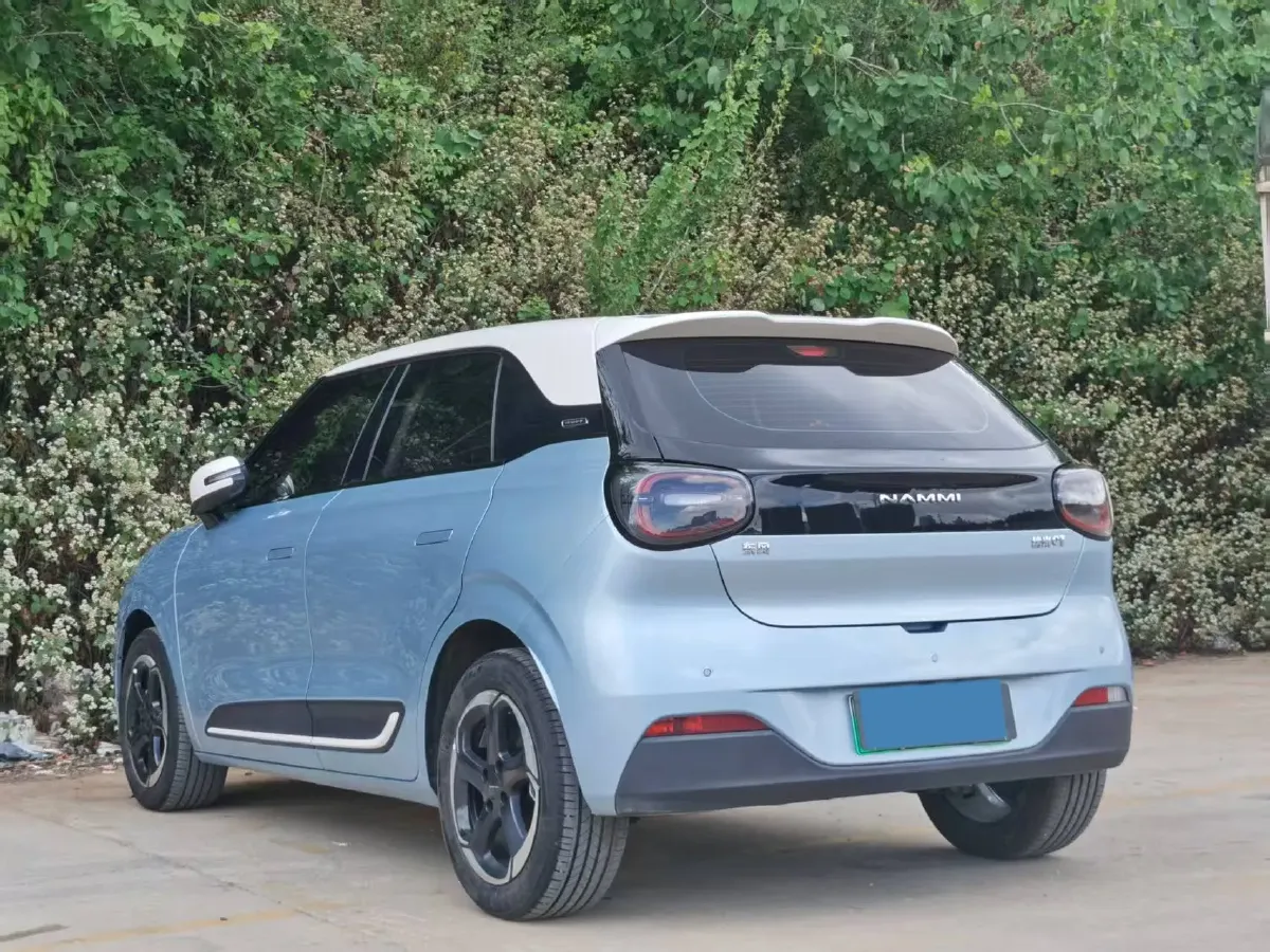 2024 DongFeng Nammi 01 BEV 42.3KWH,autocango,china used car exporter,china ev exporter,chinese used car exporter,chinese used ev exporter