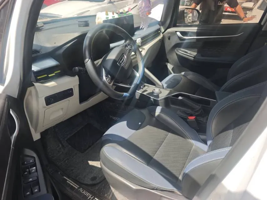 2021 Geometry EX3 BEV 37.23KWH,autocango,china used car exporter,china ev exporter,chinese used car exporter,chinese used ev exporter