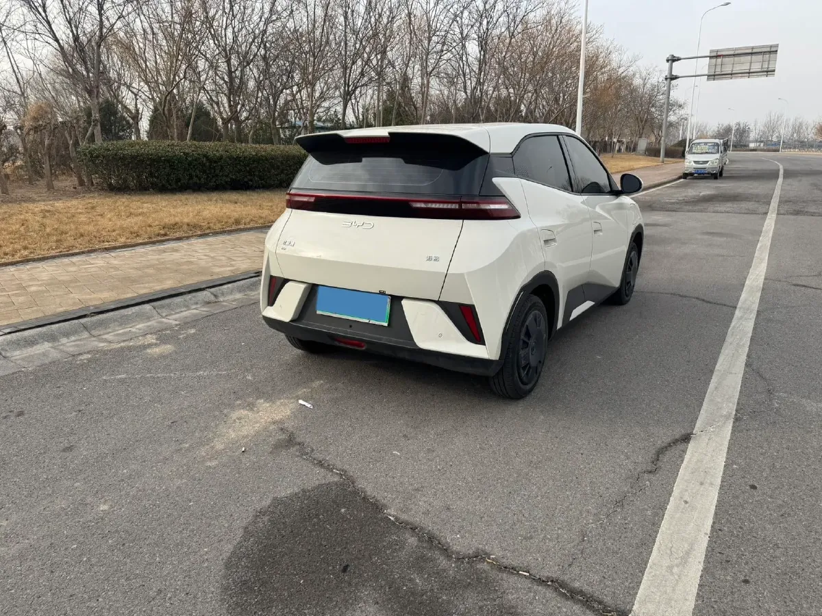 2025 BYD Seagull BEV 30.08KWH,autocango,china used car exporter,china ev exporter,chinese used car exporter,chinese used ev exporter