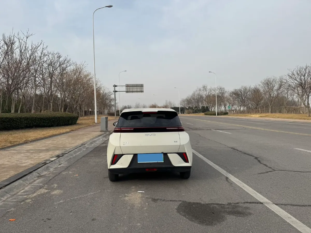 2025 BYD Seagull BEV 30.08KWH,autocango,china used car exporter,china ev exporter,chinese used car exporter,chinese used ev exporter