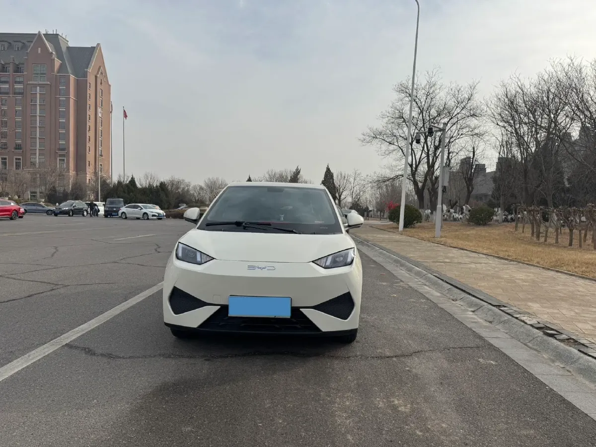 2025 BYD Seagull BEV 30.08KWH,autocango,china used car exporter,china ev exporter,chinese used car exporter,chinese used ev exporter