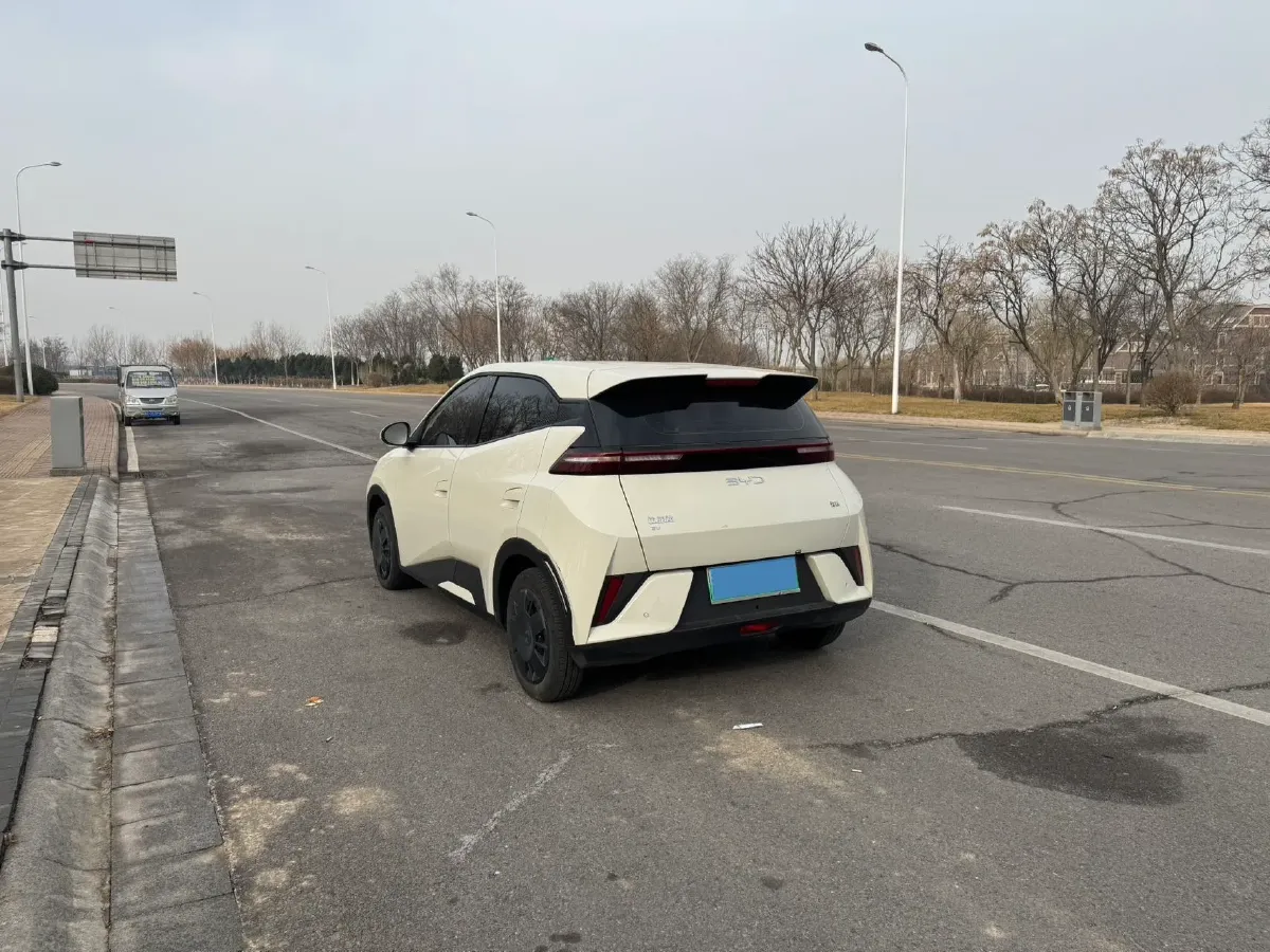 2025 BYD Seagull BEV 30.08KWH,autocango,china used car exporter,china ev exporter,chinese used car exporter,chinese used ev exporter