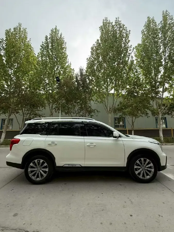 2020 GAC Trumpchi GS8 2.0T 252HP L4 6AT,autocango,china used car exporter,china ev exporter,chinese used car exporter,chinese used ev exporter