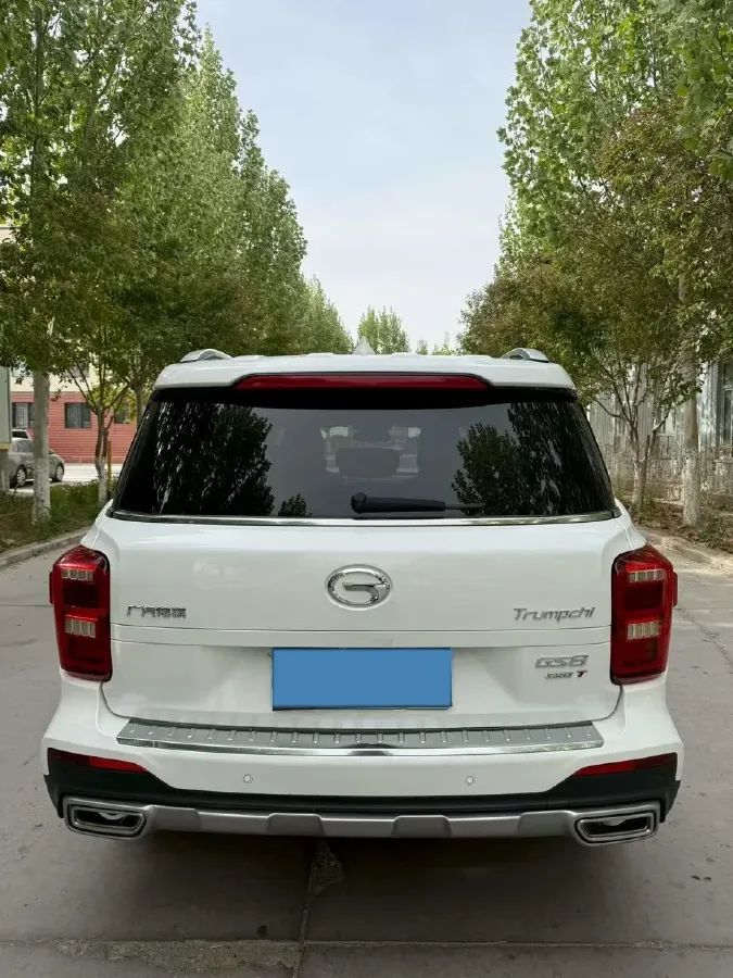 2020 GAC Trumpchi GS8 2.0T 252HP L4 6AT,autocango,china used car exporter,china ev exporter,chinese used car exporter,chinese used ev exporter