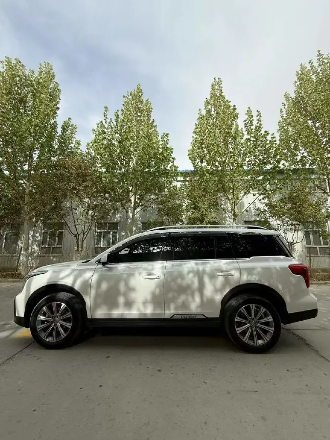 2020 GAC Trumpchi GS8 2.0T 252HP L4 6AT,autocango,china used car exporter,china ev exporter,chinese used car exporter,chinese used ev exporter