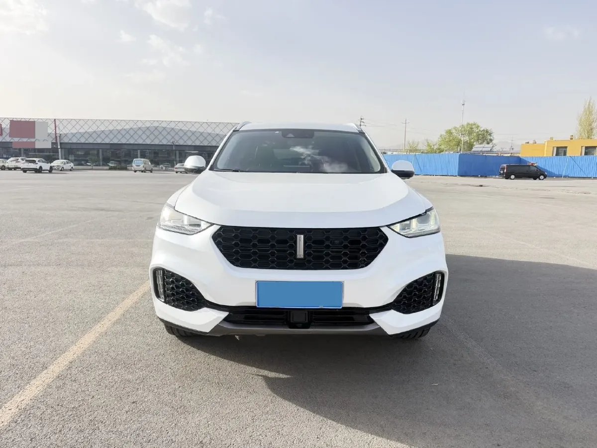 2018 WEY VV6 2.0T 197HP L4 7DCT,autocango,china used car exporter,china ev exporter,chinese used car exporter,chinese used ev exporter