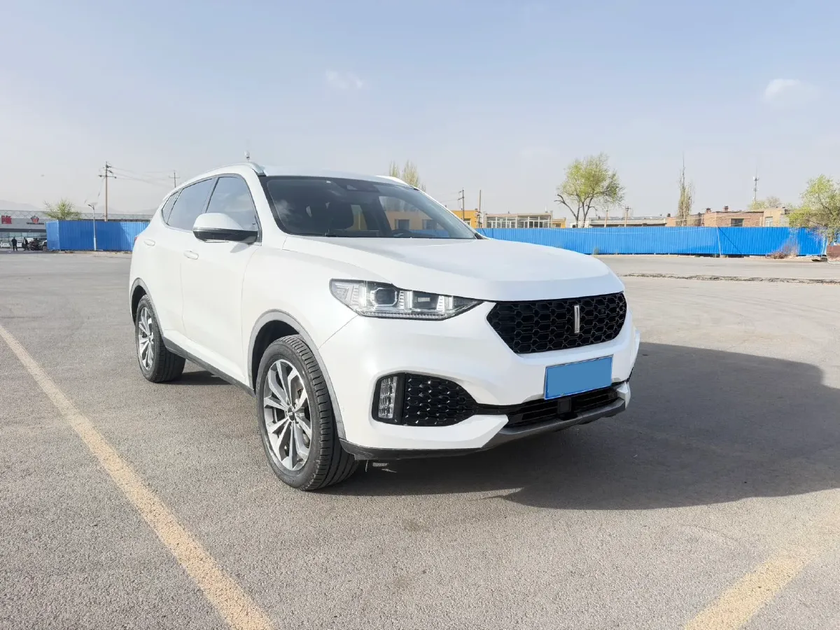 2018 WEY VV6 2.0T 197HP L4 7DCT,autocango,china used car exporter,china ev exporter,chinese used car exporter,chinese used ev exporter