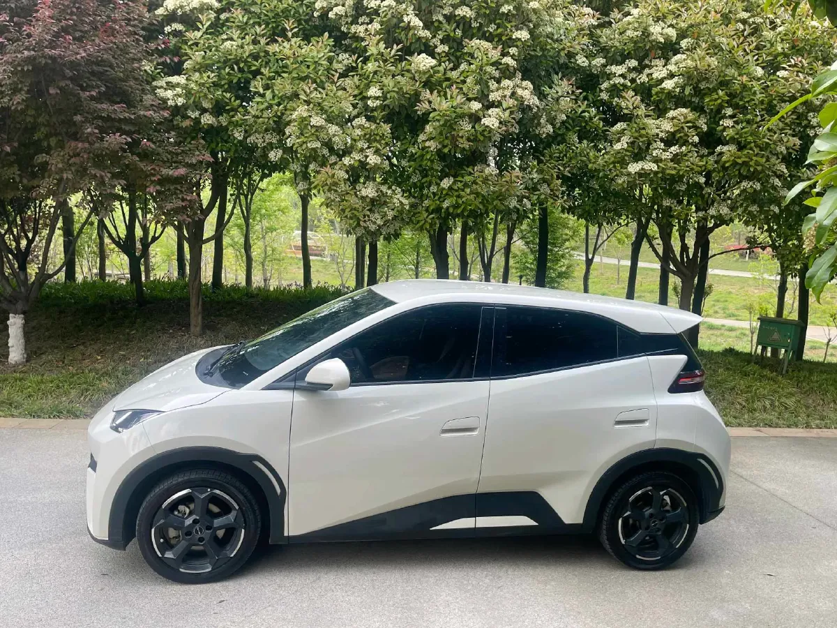 2024 BYD Seagull BEV 38.88KWH,autocango,china used car exporter,china ev exporter,chinese used car exporter,chinese used ev exporter