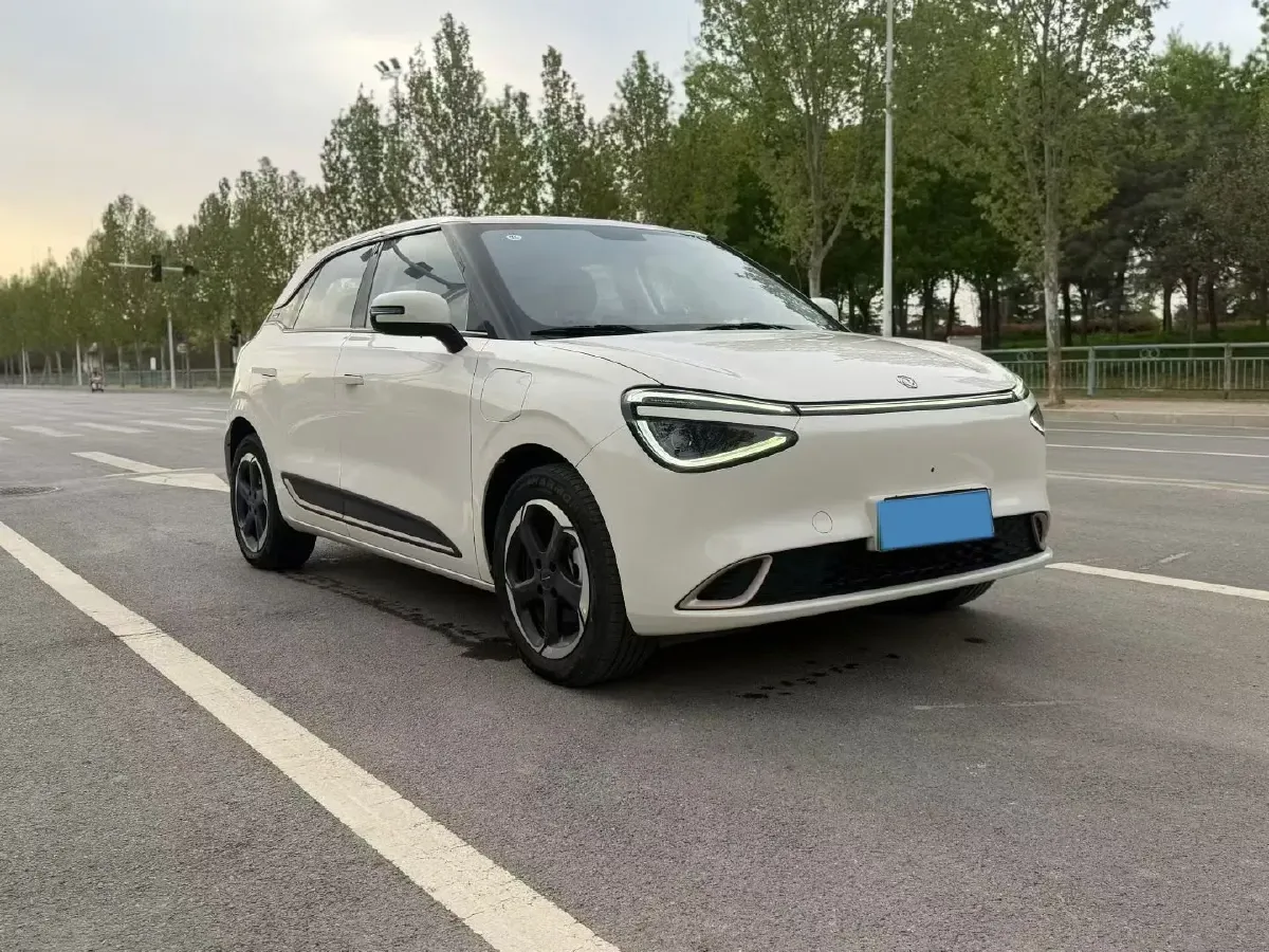 2024 DongFeng Nammi 01 BEV 42.3KWH,autocango,china used car exporter,china ev exporter,chinese used car exporter,chinese used ev exporter