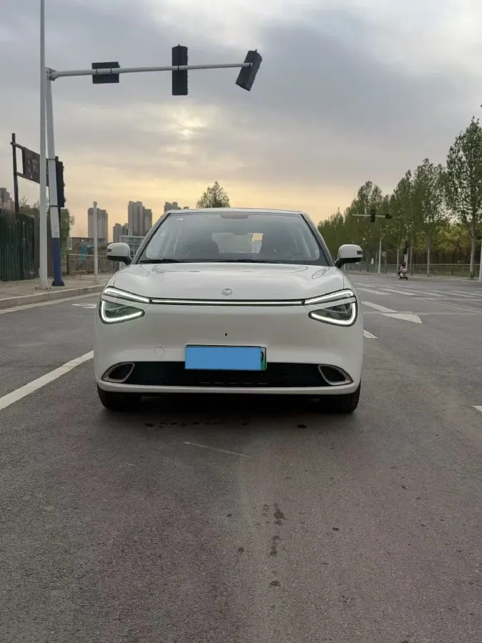 2024 DongFeng Nammi 01 BEV 42.3KWH,autocango,china used car exporter,china ev exporter,chinese used car exporter,chinese used ev exporter