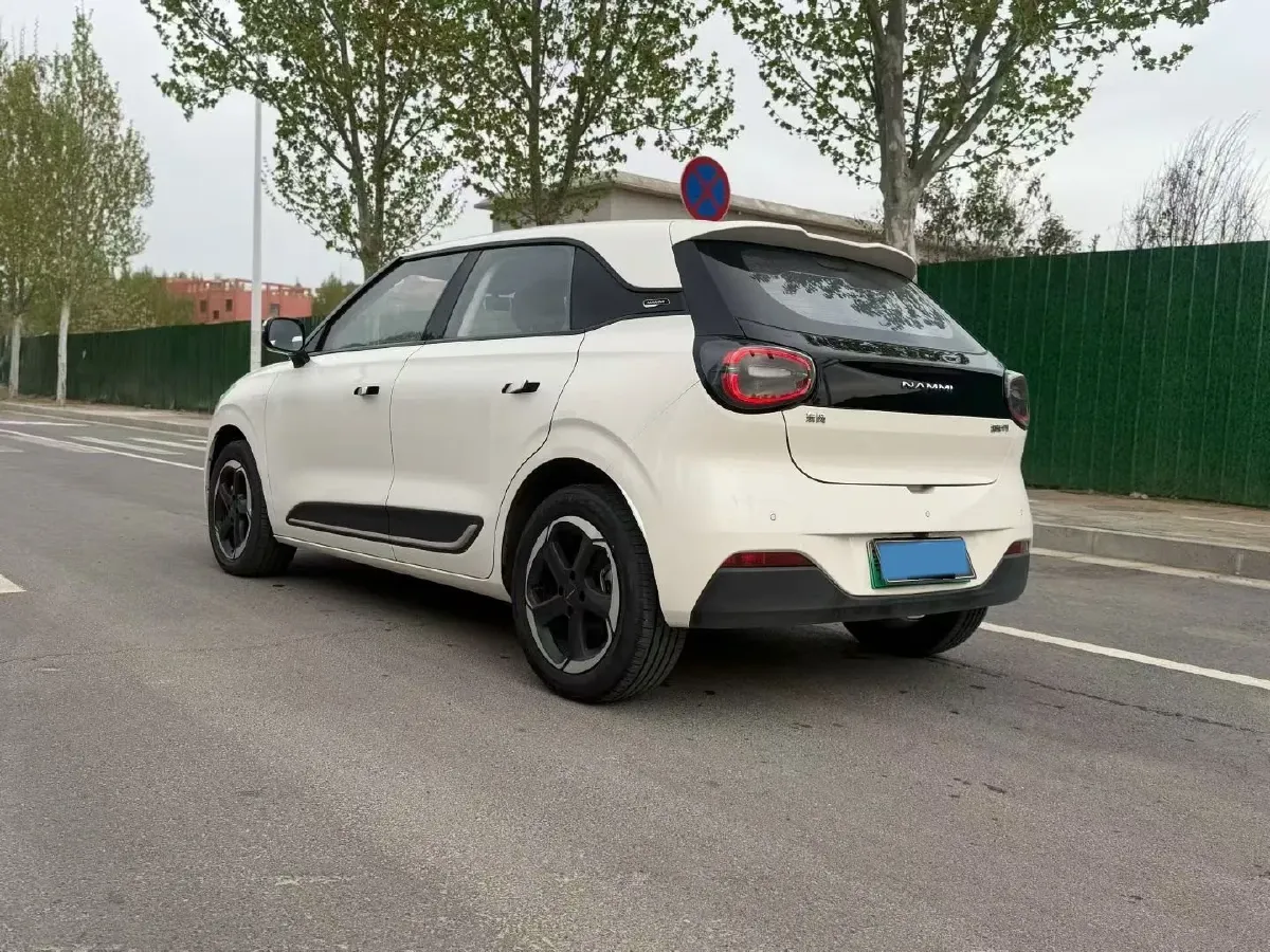 2024 DongFeng Nammi 01 BEV 42.3KWH,autocango,china used car exporter,china ev exporter,chinese used car exporter,chinese used ev exporter