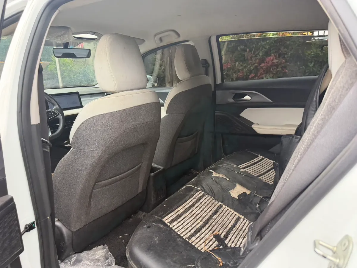 2024 Geometry E BEV 29.67KWH,autocango,china used car exporter,china ev exporter,chinese used car exporter,chinese used ev exporter