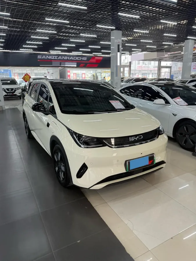 2025 BYD Dolphin BEV 45.12KWH,autocango,china used car exporter,china ev exporter,chinese used car exporter,chinese used ev exporter