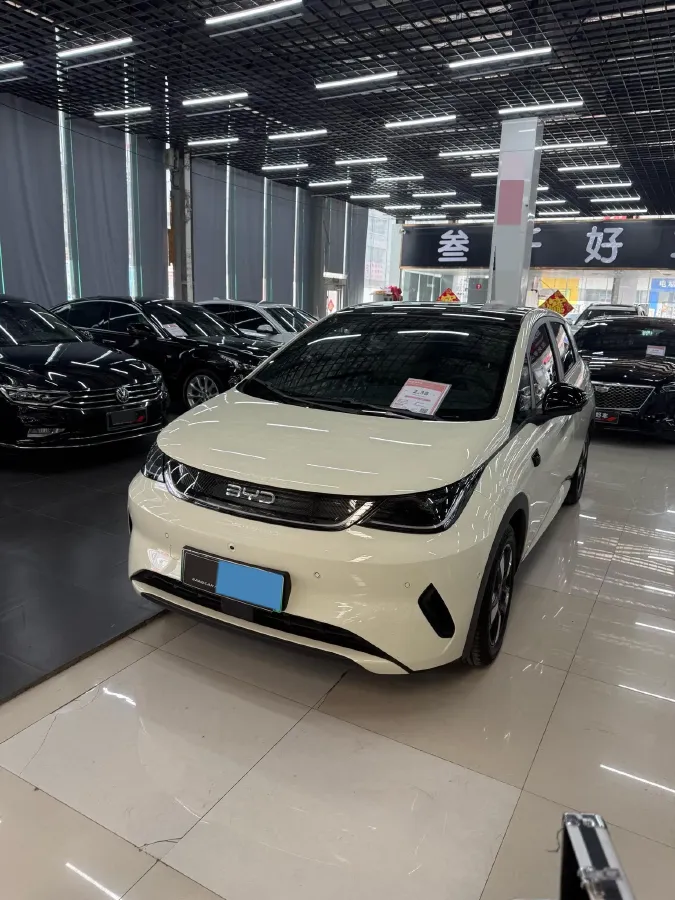 2025 BYD Dolphin BEV 45.12KWH,autocango,china used car exporter,china ev exporter,chinese used car exporter,chinese used ev exporter