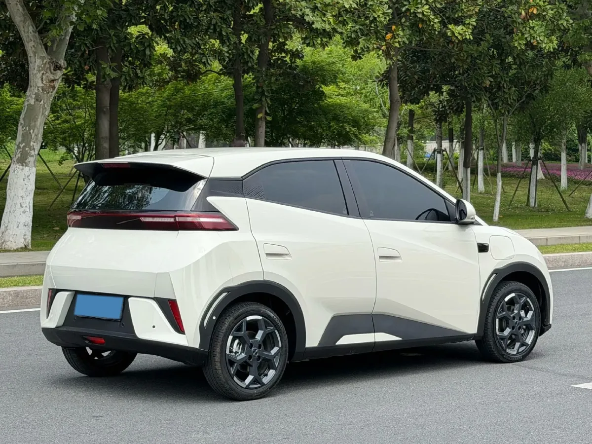 2025 BYD Seagull BEV 30.08KWH,autocango,china used car exporter,china ev exporter,chinese used car exporter,chinese used ev exporter