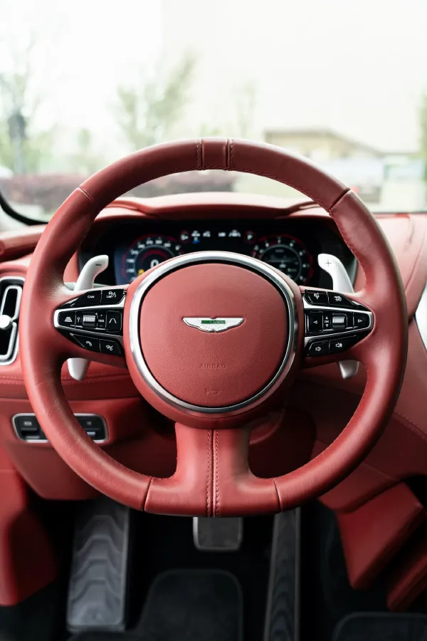 2021 Aston Martin DBX 4.0T 550HP V8 9AT,autocango,china used car exporter,china ev exporter,chinese used car exporter,chinese used ev exporter