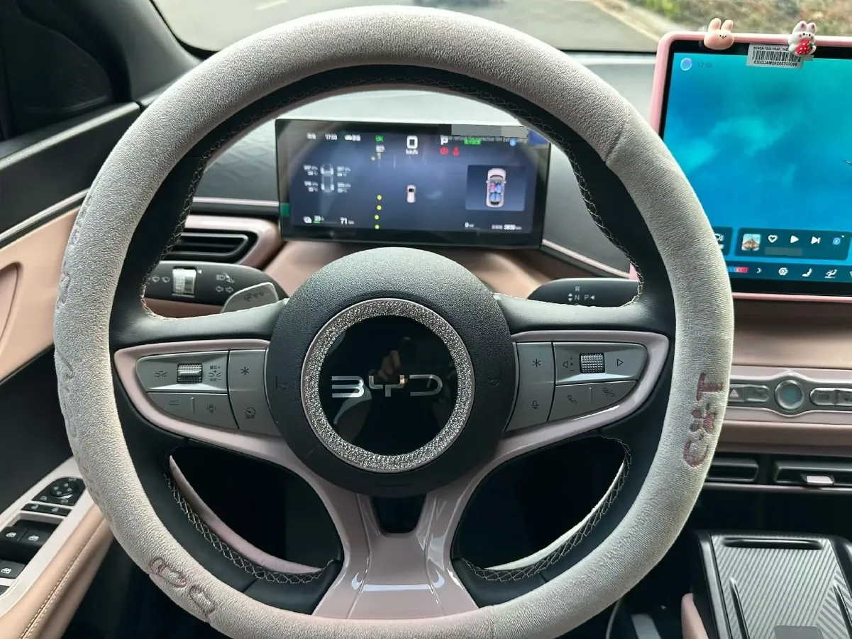 2025 BYD Seagull BEV 30.08KWH,autocango,china used car exporter,china ev exporter,chinese used car exporter,chinese used ev exporter