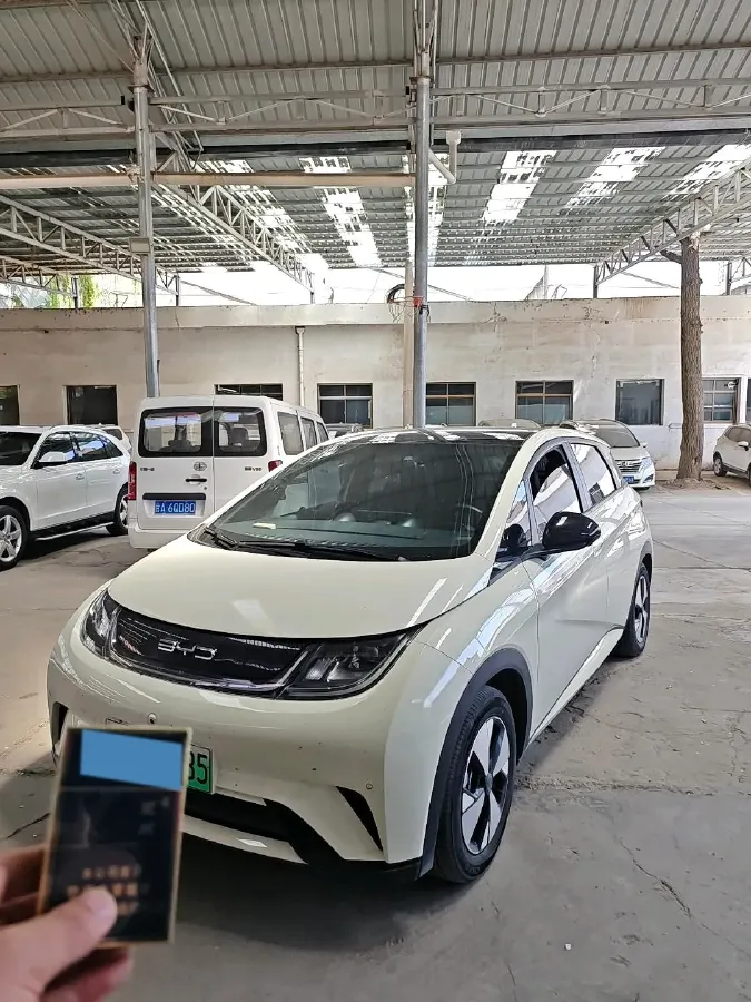 2023 BYD Dolphin BEV 44.928KWH,autocango,china used car exporter,china ev exporter,chinese used car exporter,chinese used ev exporter