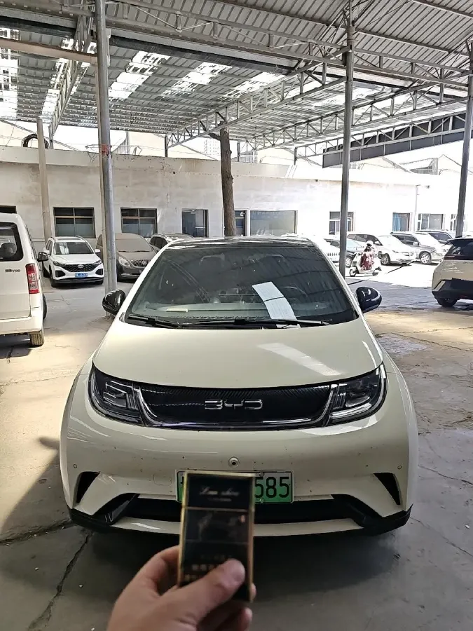 2023 BYD Dolphin BEV 44.928KWH,autocango,china used car exporter,china ev exporter,chinese used car exporter,chinese used ev exporter