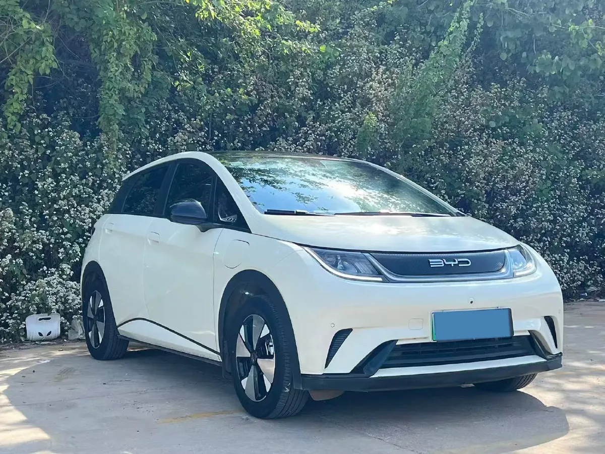 2023 BYD Dolphin BEV 44.928KWH,autocango,china used car exporter,china ev exporter,chinese used car exporter,chinese used ev exporter