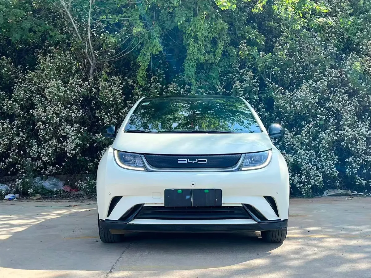2023 BYD Dolphin BEV 44.928KWH,autocango,china used car exporter,china ev exporter,chinese used car exporter,chinese used ev exporter