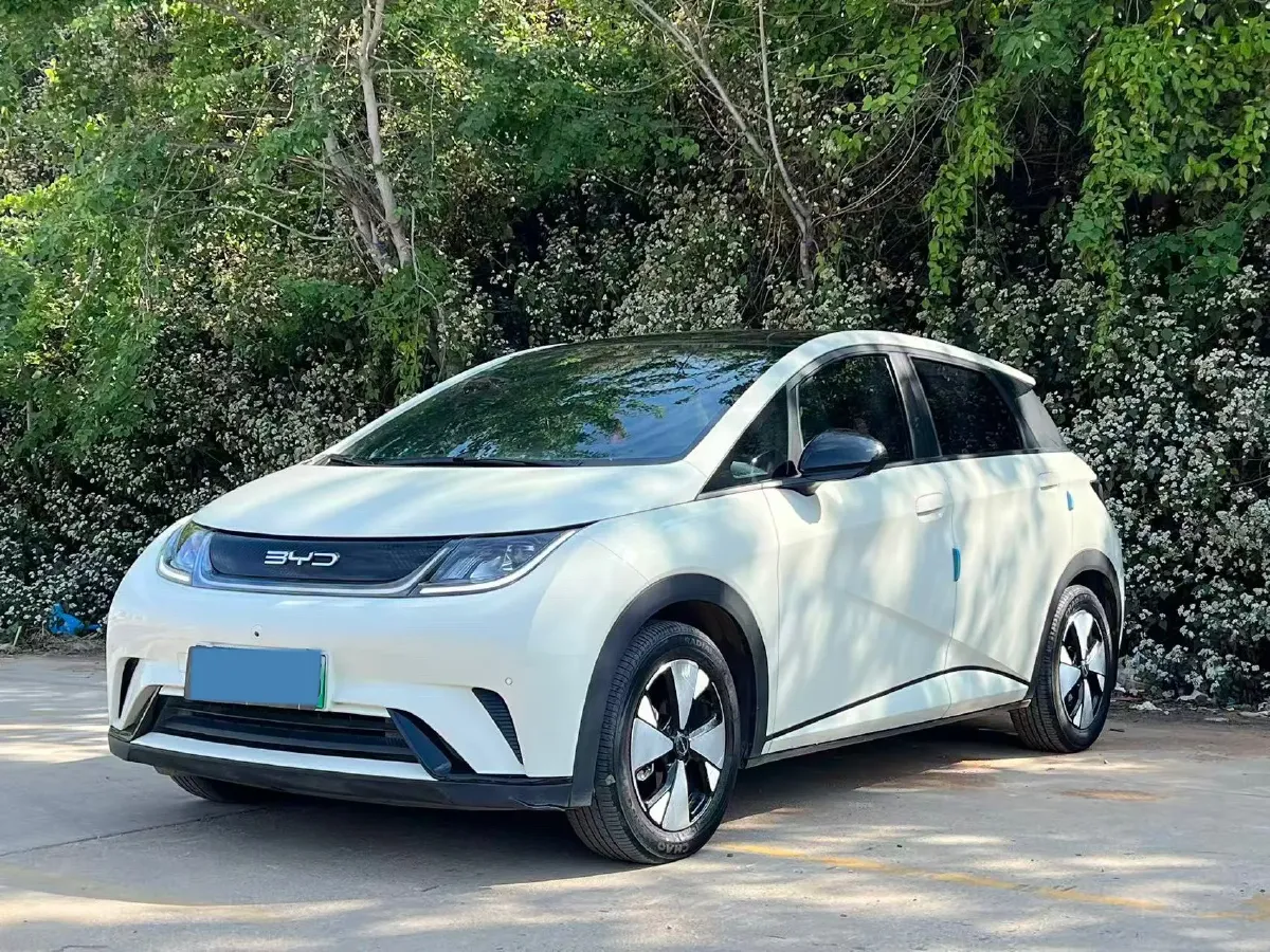 2023 BYD Dolphin BEV 44.928KWH,autocango,china used car exporter,china ev exporter,chinese used car exporter,chinese used ev exporter