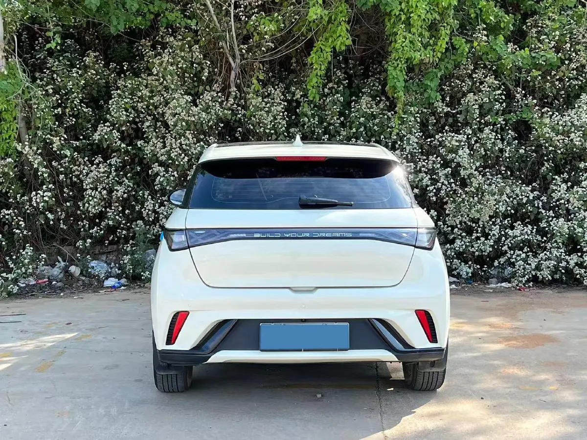 2023 BYD Dolphin BEV 44.928KWH,autocango,china used car exporter,china ev exporter,chinese used car exporter,chinese used ev exporter