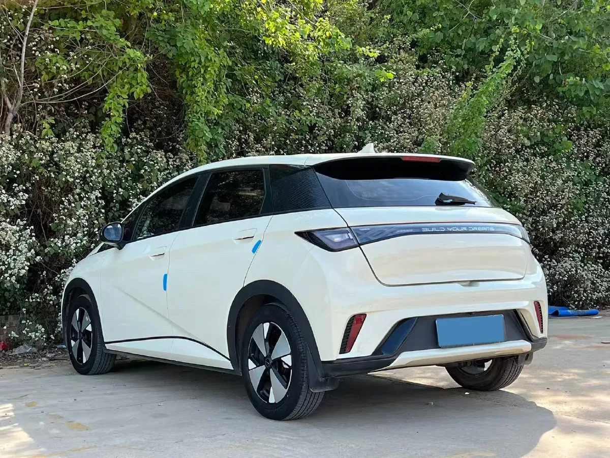 2023 BYD Dolphin BEV 44.928KWH,autocango,china used car exporter,china ev exporter,chinese used car exporter,chinese used ev exporter
