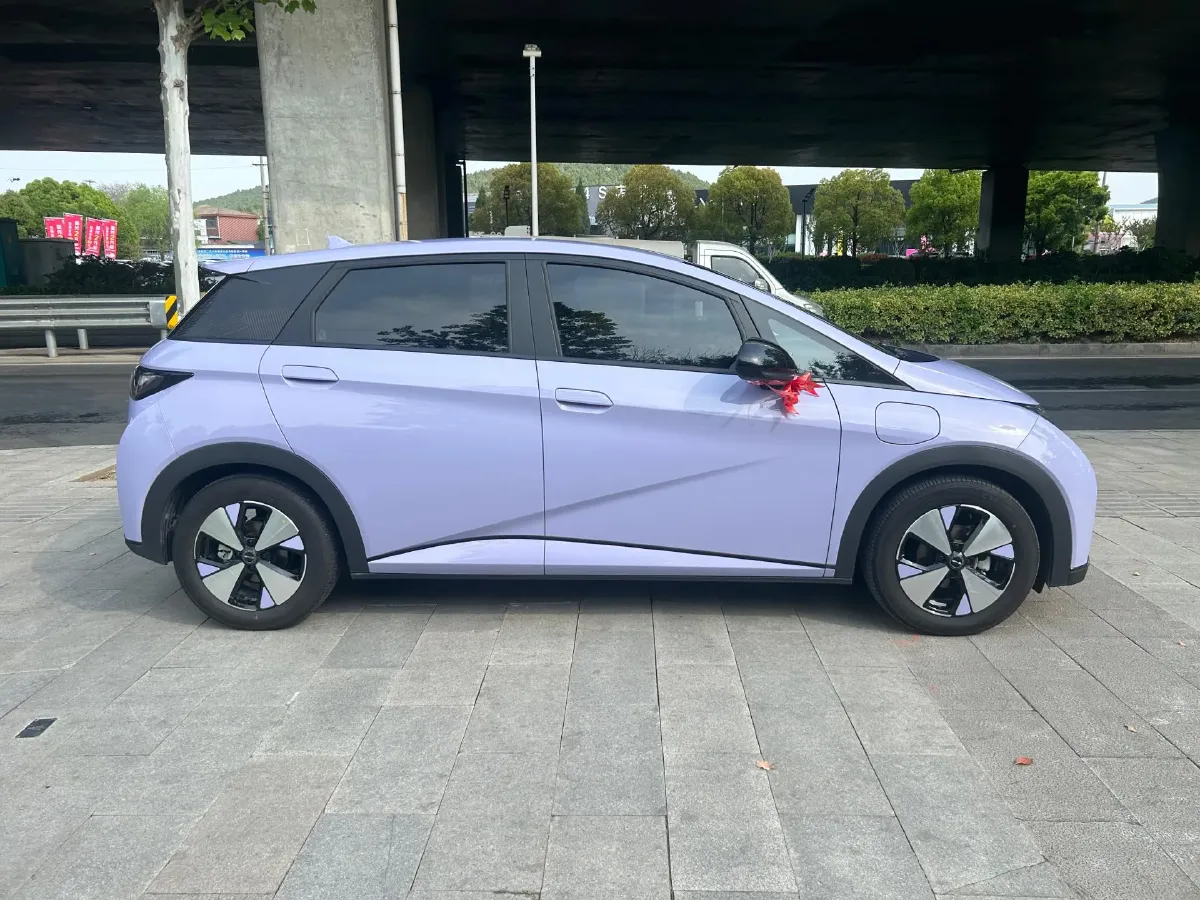 2023 BYD Dolphin BEV 44.928KWH,autocango,china used car exporter,china ev exporter,chinese used car exporter,chinese used ev exporter