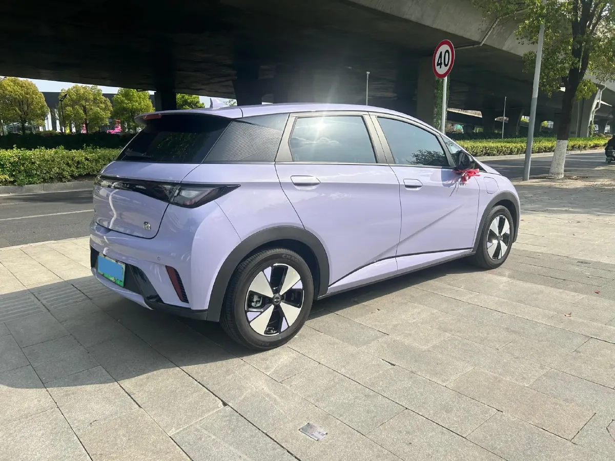 2023 BYD Dolphin BEV 44.928KWH,autocango,china used car exporter,china ev exporter,chinese used car exporter,chinese used ev exporter