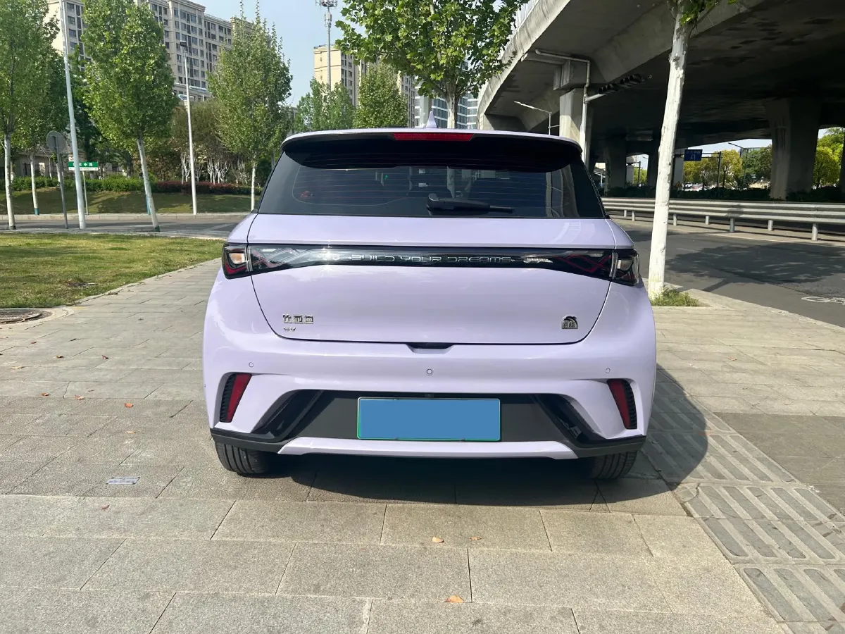 2023 BYD Dolphin BEV 44.928KWH,autocango,china used car exporter,china ev exporter,chinese used car exporter,chinese used ev exporter