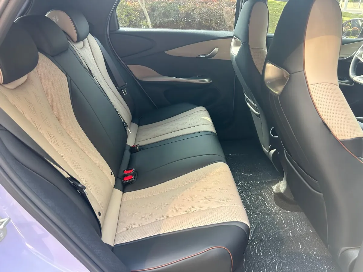 2023 BYD Dolphin BEV 44.928KWH,autocango,china used car exporter,china ev exporter,chinese used car exporter,chinese used ev exporter